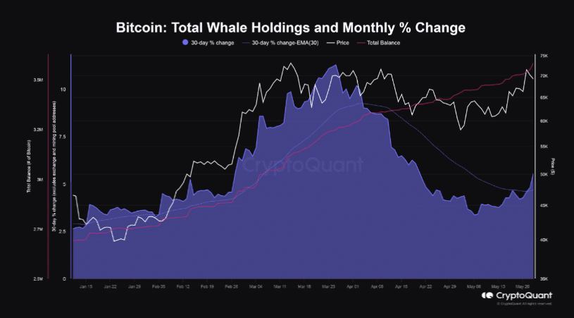 BTC Whales coming back