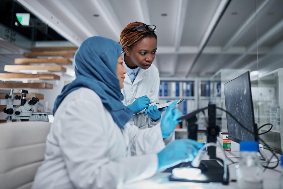 Two lab technicians looking at a computer monitor that's displaying an image from a digital microscope.