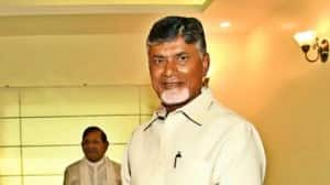 TDP, Andhra Pradesh, Chandrababu Naidu, Andhra Pradesh Capital Region Development Authority