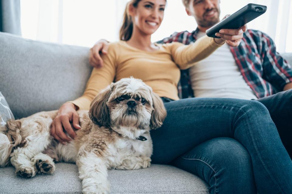 A couple and their dog channel surfing from the couch.