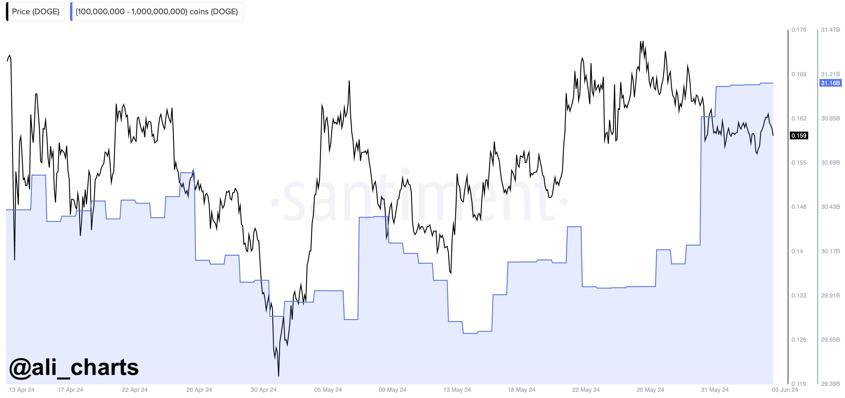 Dogecoin price DOGE Whale Accumulation