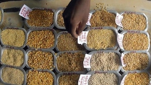 pulses, dal prices, food prices, food inflation, economy