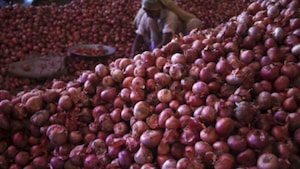 The directorate general of foreign trade (DGFT) removed the MEP on onion with immediate effect.