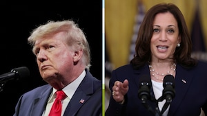 US elections, Donald Trump, Kamala Harris, US presidential election, economic impact, global inflation, asset classes, Republicans, Democrats, fiscal restraint, trade