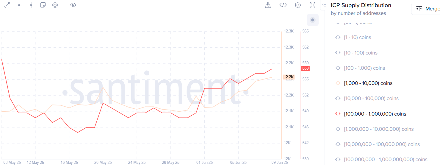 ICP defies crypto downturn with Caffeine-fueled rally and whale accumulation - 1