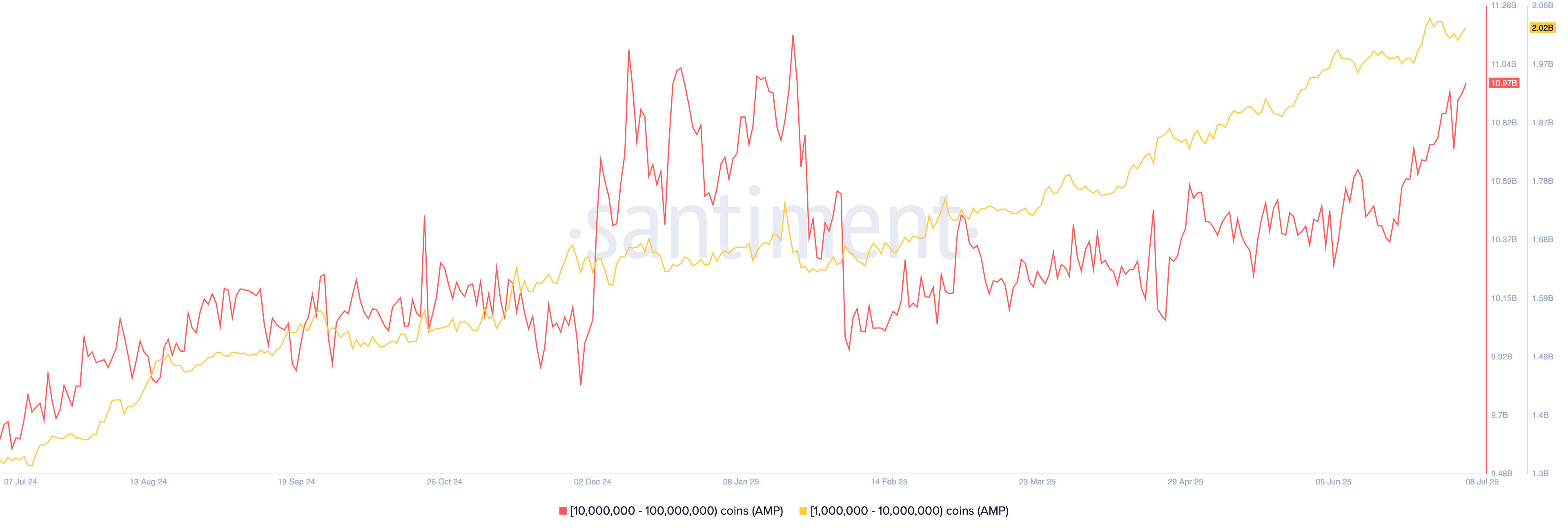 Amp whale holdings