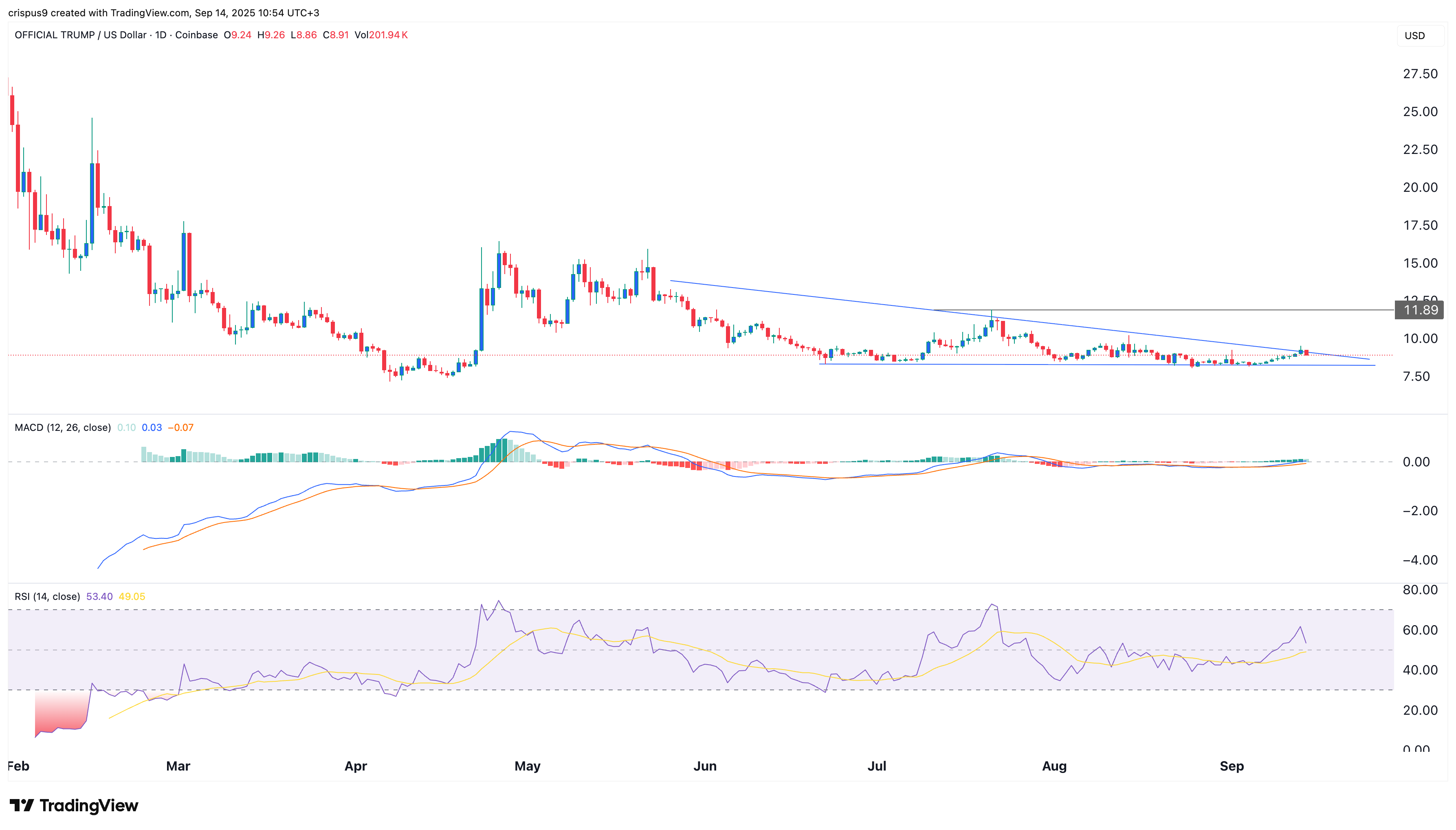 Bullish patterns in Trump Coin face whale-sized risks - 1