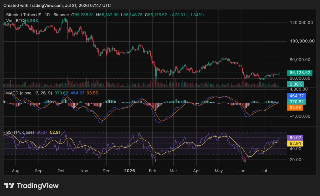 Bitcoin (BTC) price chart, source: crypto.news